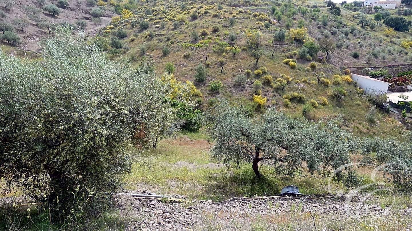 3 soveværelse Finca/Landehus til salg i Rubite - € 160.000 (Ref: 6875799)