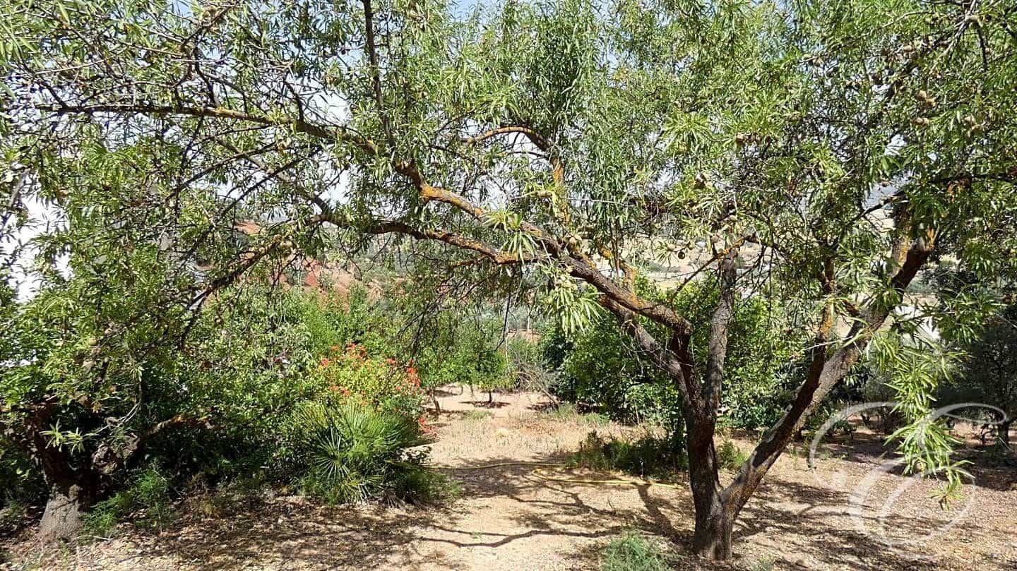 6 quarto Quinta/Casa Rural para venda em Almogia com piscina garagem - 490 000 € (Ref: 6981840)