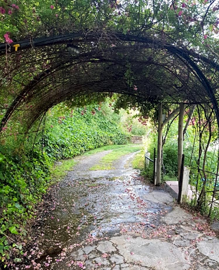 3 slaapkamer Villa te koop in Orgiva met zwembad - € 545.000 (Ref: 7088777)