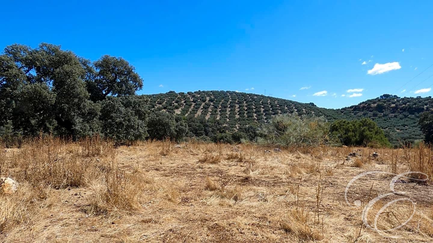 7 soverom Finca/Herregård til salgs i Rute med svømmebasseng - € 995 000 (Ref: 7133675)