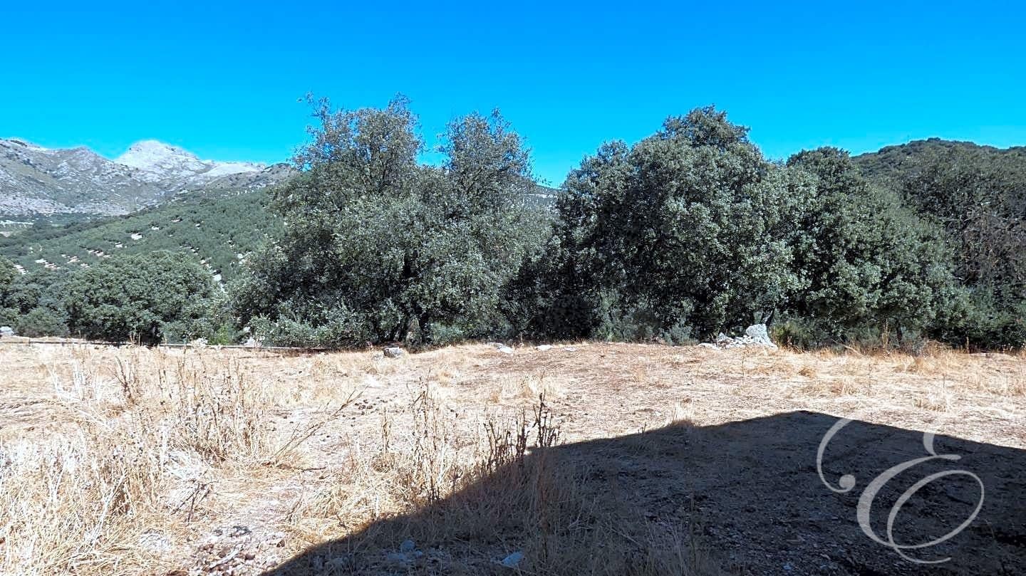 7 soverom Finca/Herregård til salgs i Rute med svømmebasseng - € 995 000 (Ref: 7133675)