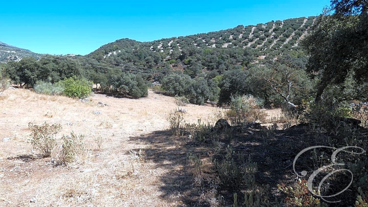 7 soverom Finca/Herregård til salgs i Rute med svømmebasseng - € 995 000 (Ref: 7133675)