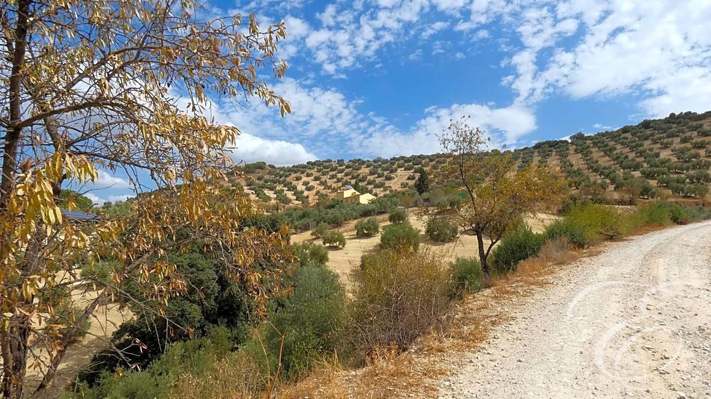 6 soverom Villa til salgs i Iznajar med svømmebasseng garasje - € 477 000 (Ref: 7133676)