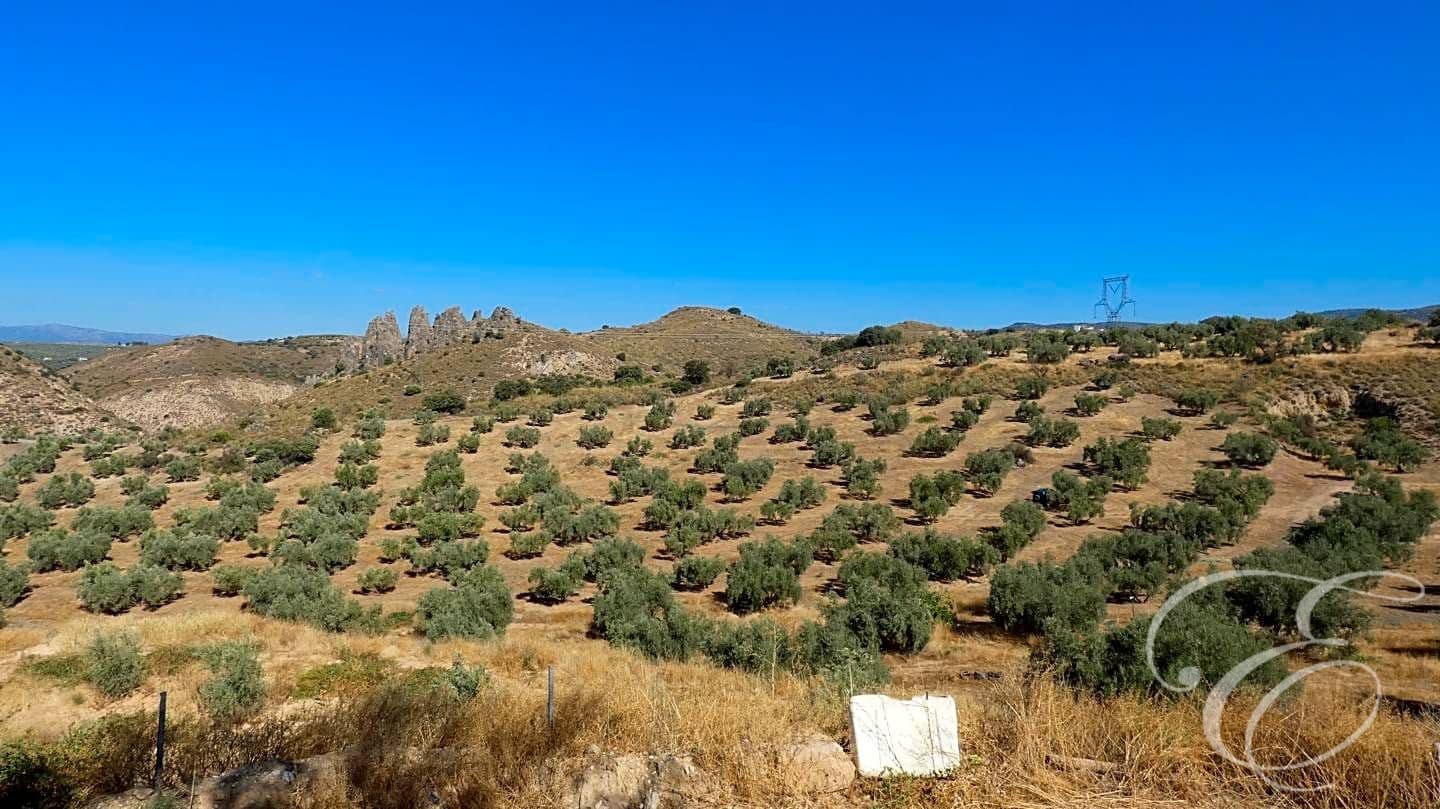 4 quarto Quinta/Casa Rural para venda em Loja com piscina - 400 000 € (Ref: 7170987)