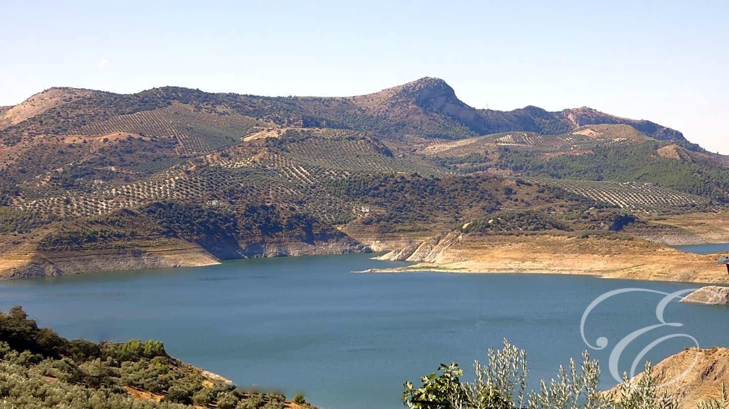 10 soveværelse Villa til salg i Rute med swimmingpool garage - € 650.000 (Ref: 7214733)