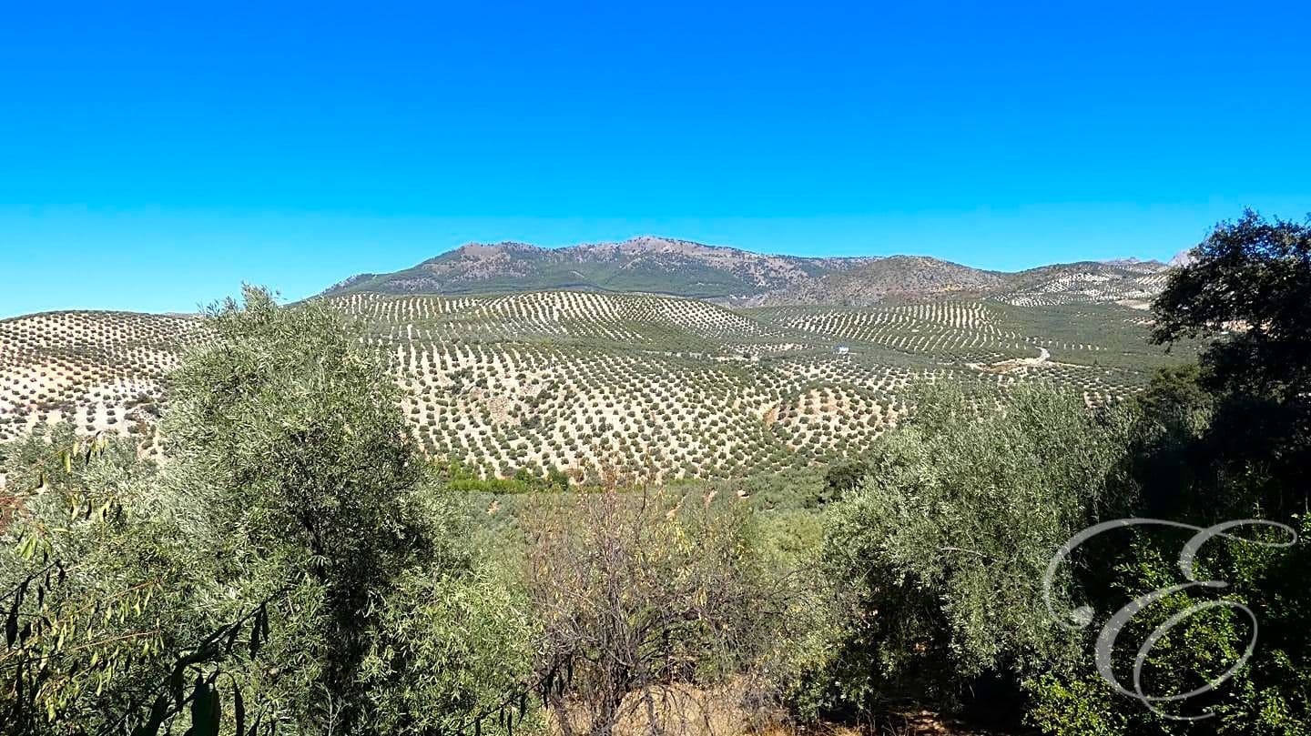 10 soveværelse Villa til salg i Rute med swimmingpool garage - € 650.000 (Ref: 7214733)