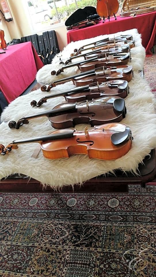 3 soveværelse Virksomhed til salg i Torre del Mar - € 369.000 (Ref: 7289046)