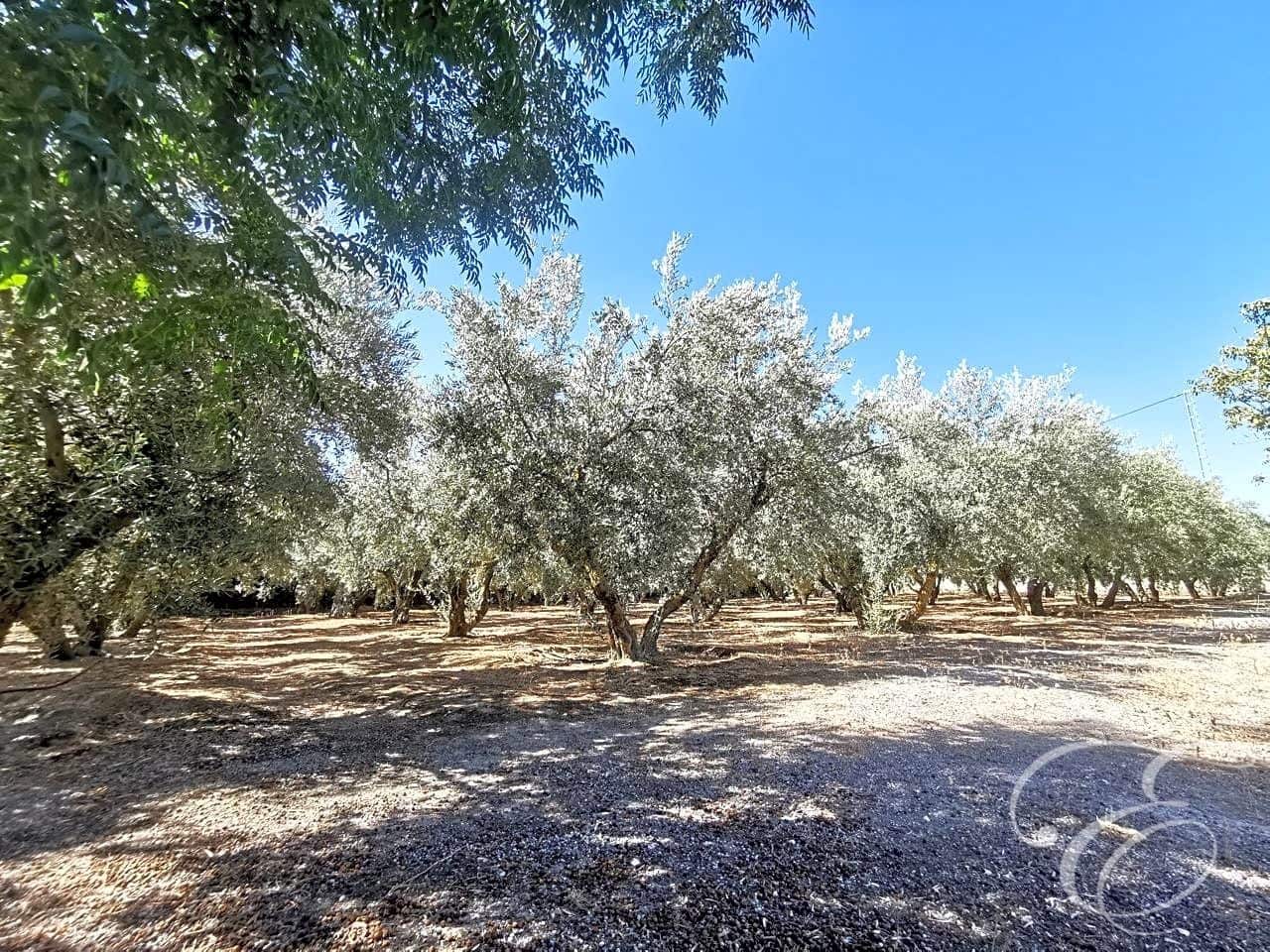 5 bedroom Finca/Country House for sale in Moraleda de Zafayona with pool - € 268,000 (Ref: 7371214)