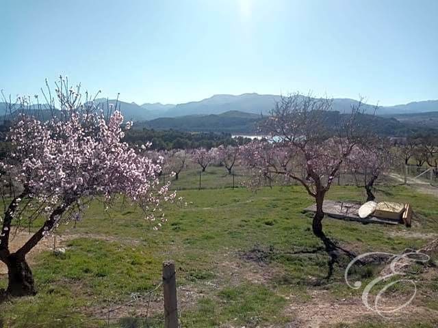 5 slaapkamer Finca/Landhuis te koop in Arenas del Rey met zwembad - € 390.000 (Ref: 7401667)