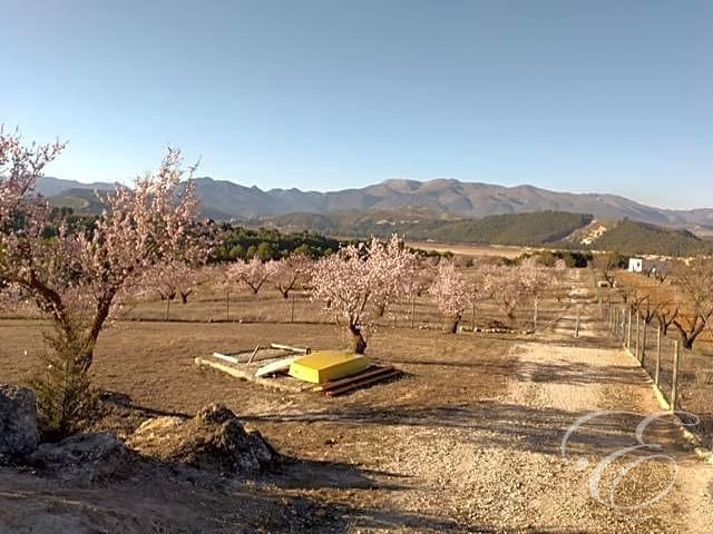 5 slaapkamer Finca/Landhuis te koop in Arenas del Rey met zwembad - € 390.000 (Ref: 7401667)