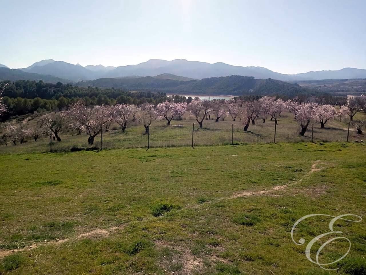 5 slaapkamer Finca/Landhuis te koop in Arenas del Rey met zwembad - € 390.000 (Ref: 7401667)