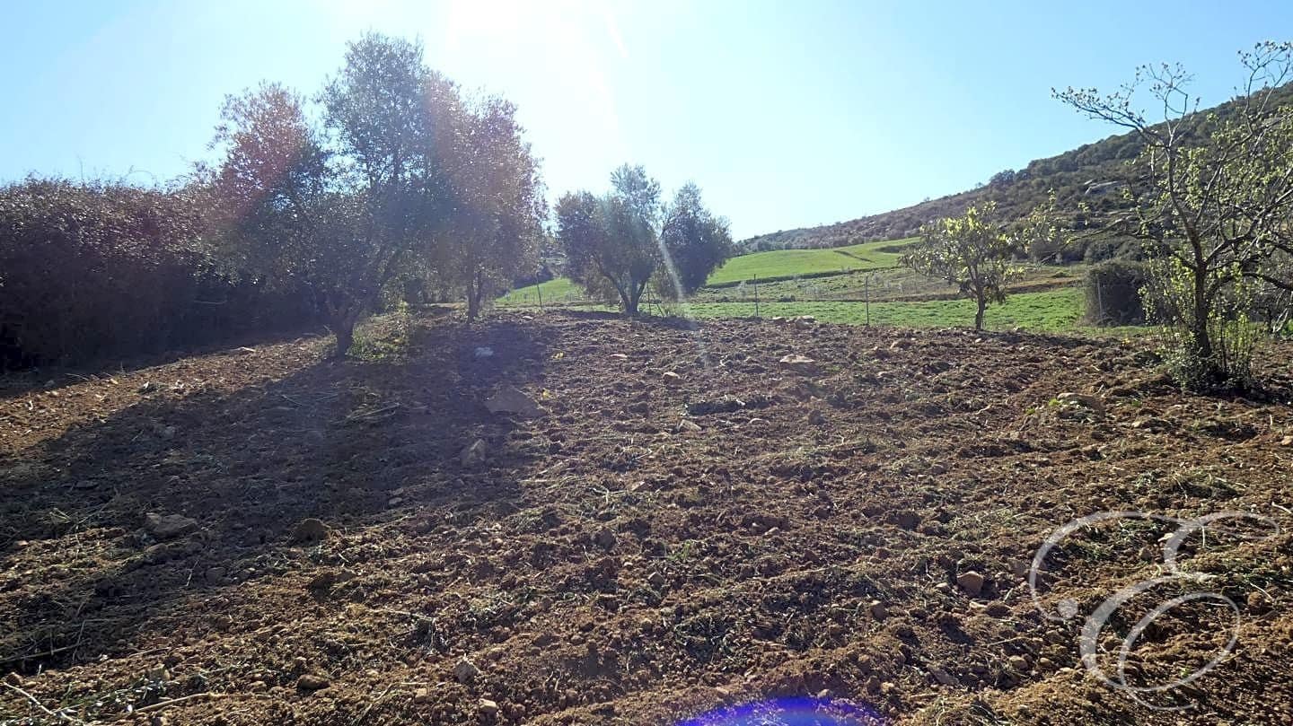 6 Zimmer Finca/Landgut zu verkaufen in Villanueva de la Concepcion mit Pool Garage - 340.000 € (Ref: 7475290)