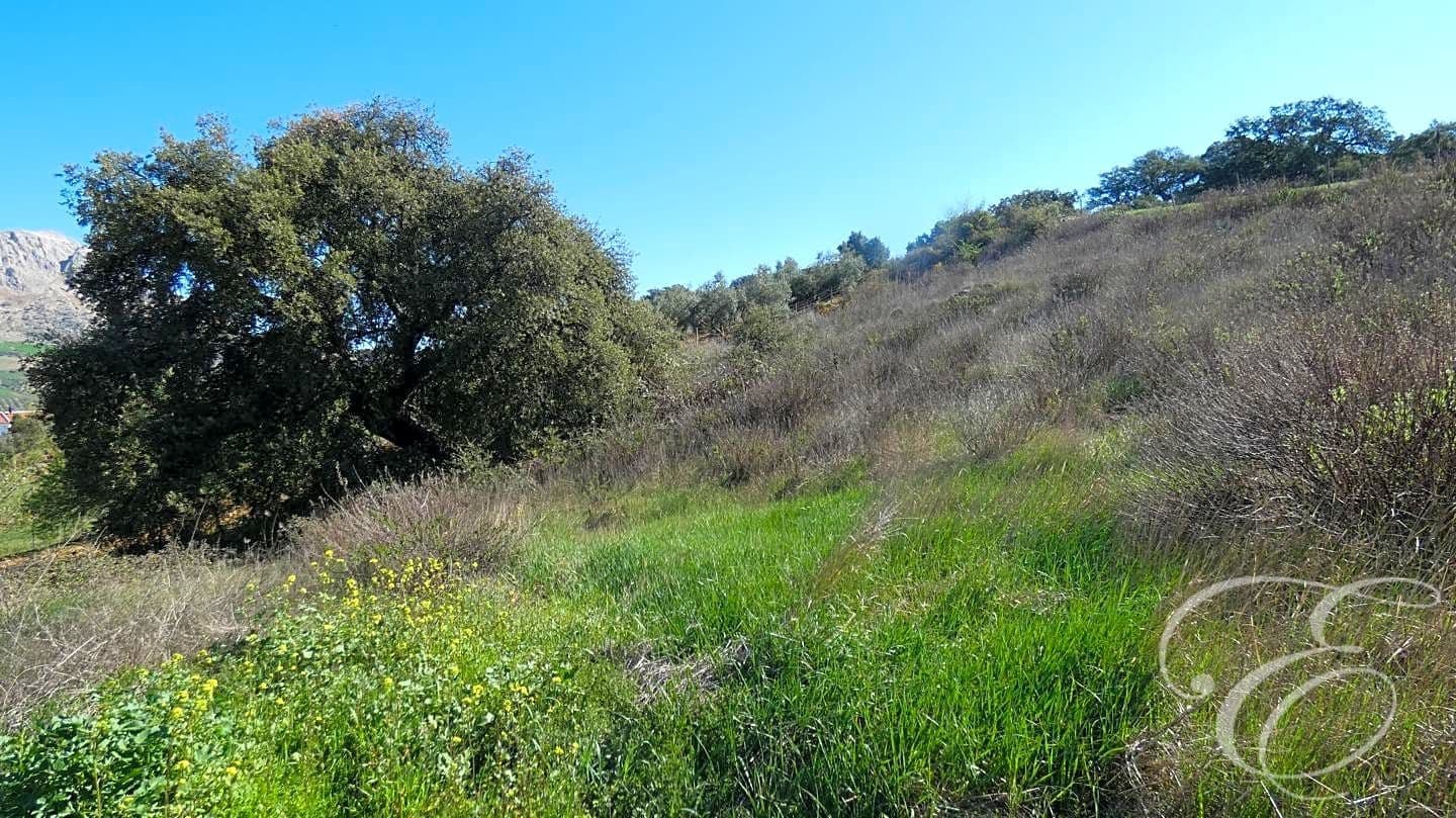 6 Zimmer Finca/Landgut zu verkaufen in Villanueva de la Concepcion mit Pool Garage - 340.000 € (Ref: 7475290)