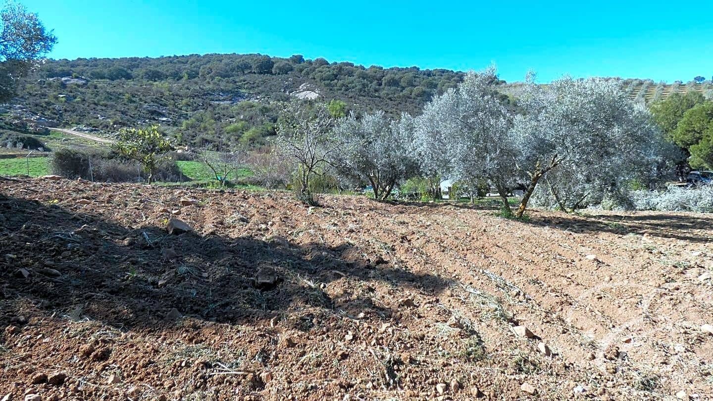 6 Zimmer Finca/Landgut zu verkaufen in Villanueva de la Concepcion mit Pool Garage - 340.000 € (Ref: 7475290)