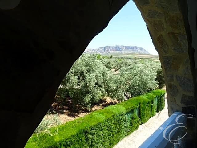 4 chambre Finca/Maison de Campagne à vendre à Villanueva de la Concepcion avec piscine garage - 478 000 € (Ref: 7485627)