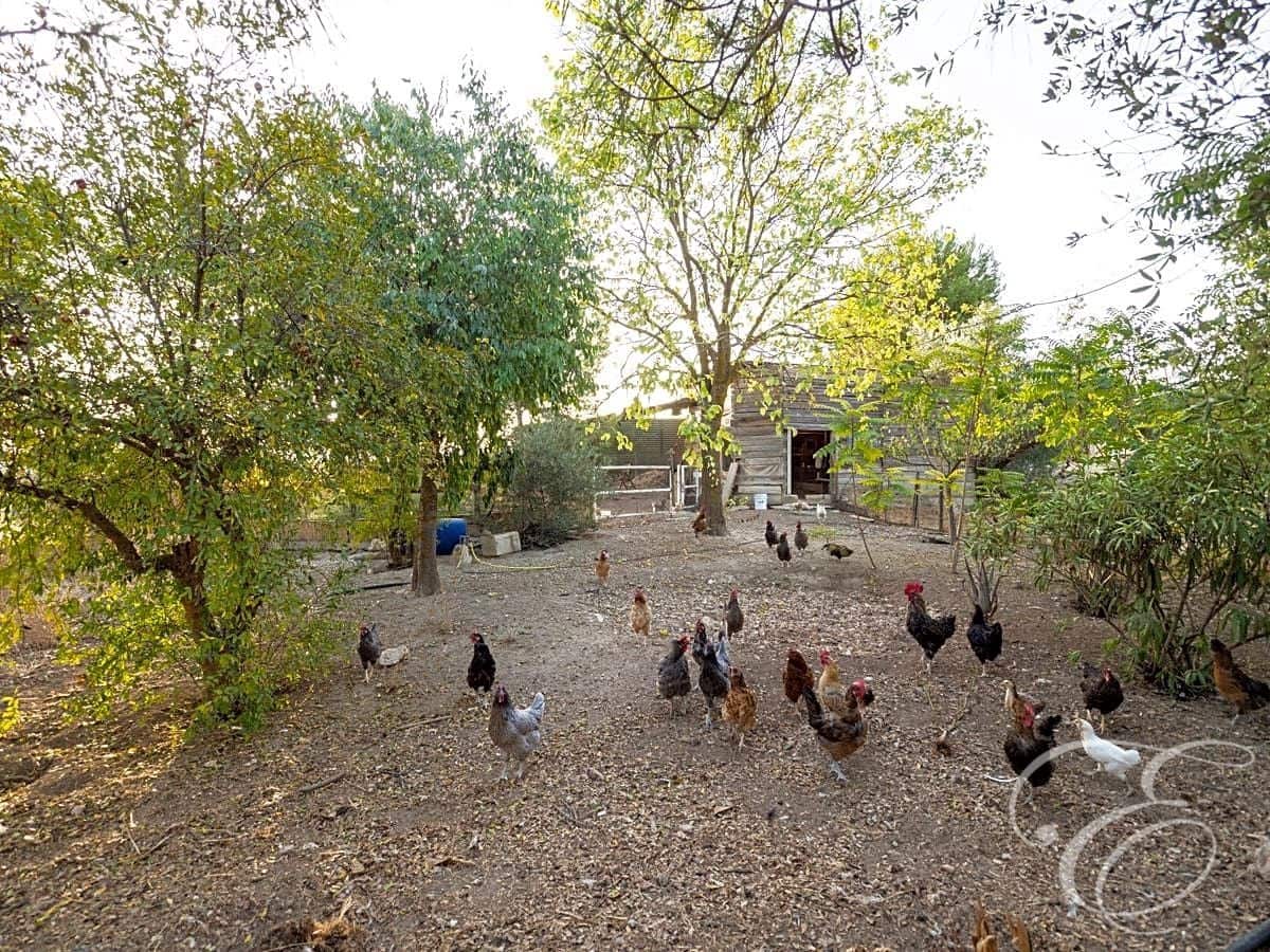 5 soveværelse Finca/Landehus til salg i Alhama de Granada med swimmingpool garage - € 2.500.000 (Ref: 7617580)