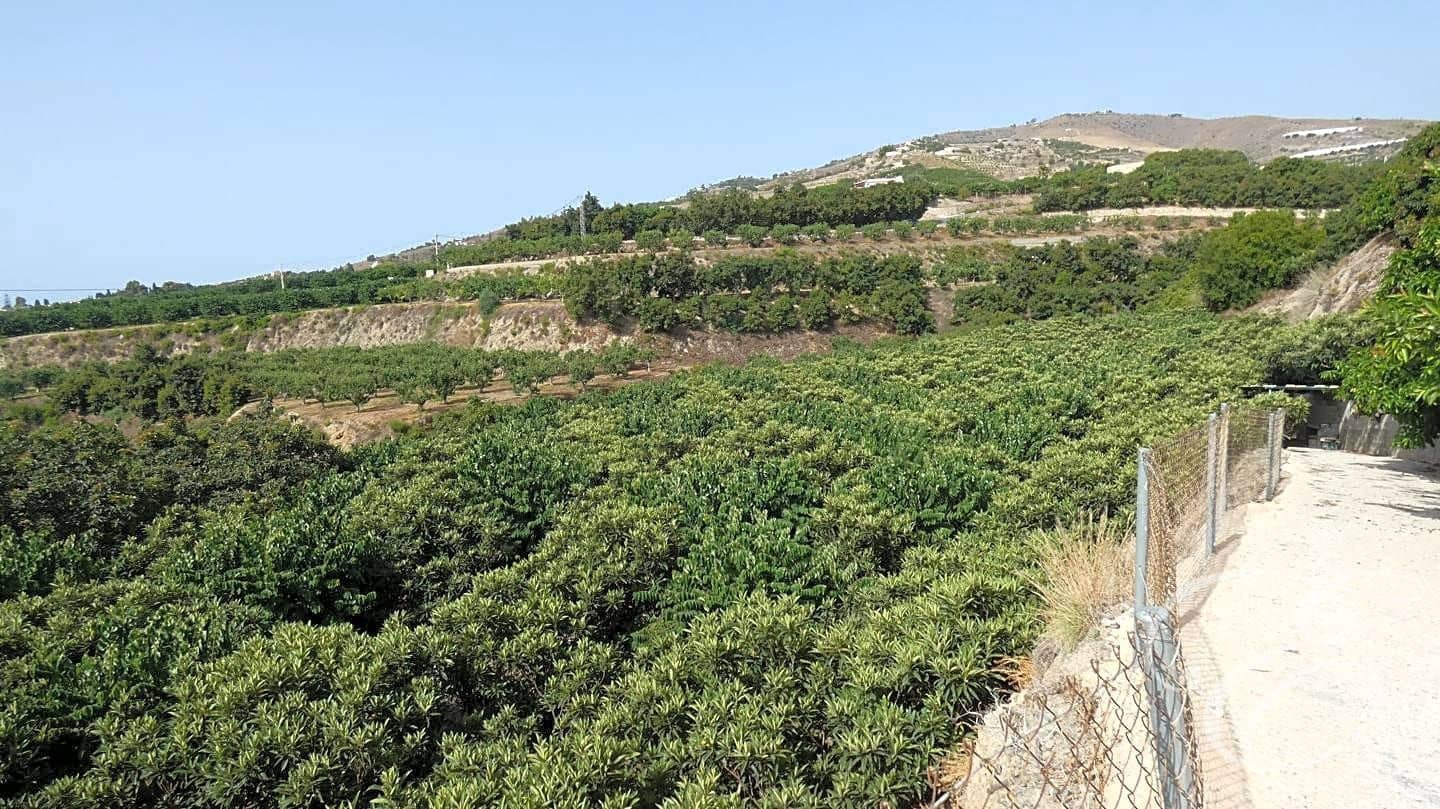 3 Zimmer Villa zu verkaufen in Salobrena mit Pool Garage - 950.000 € (Ref: 7766814)