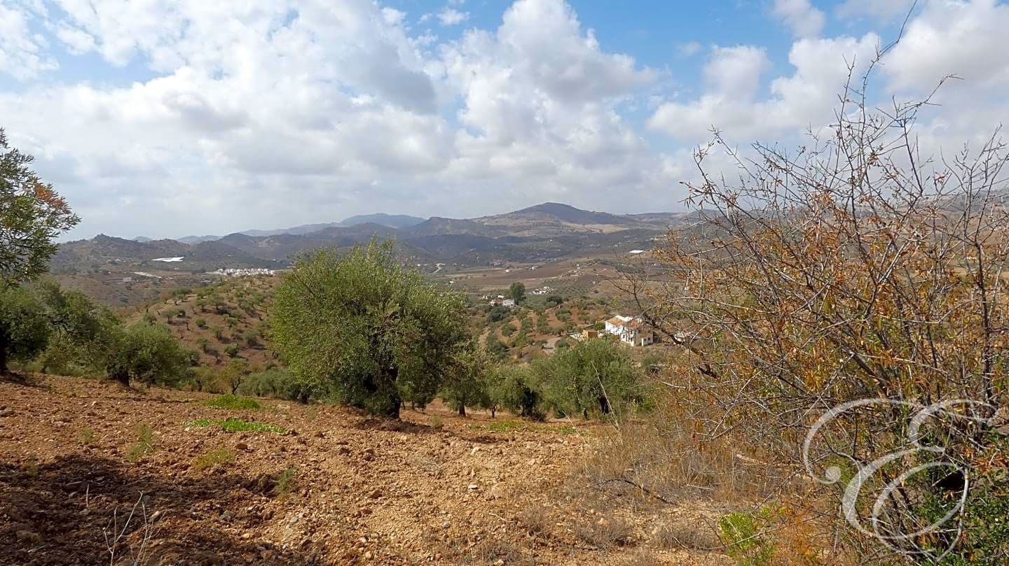 5 quarto Quinta/Casa Rural para venda em Almogia - 345 000 € (Ref: 7811794)