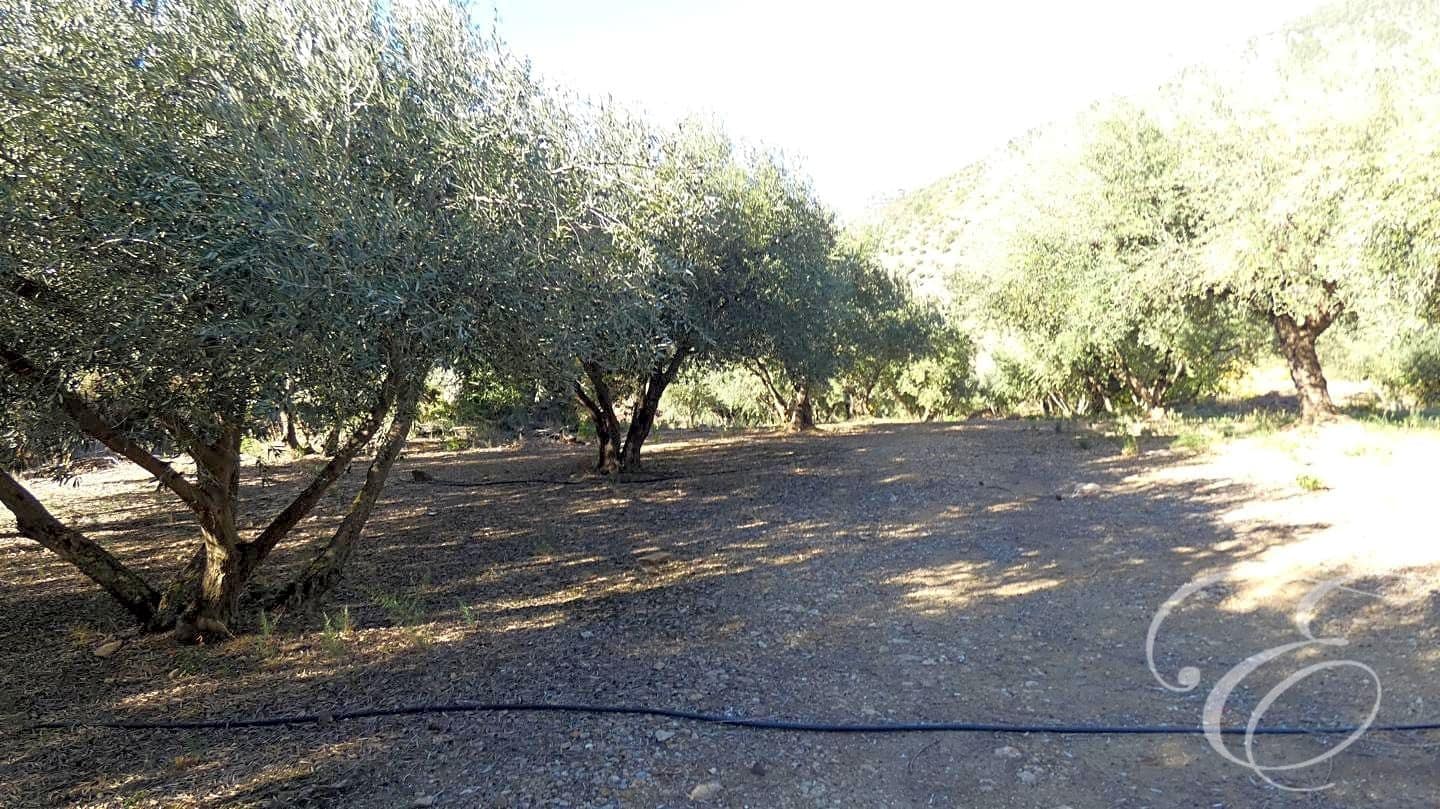 2 soverom Finca/Herregård til salgs i Periana med garasje - € 170 000 (Ref: 7936988)