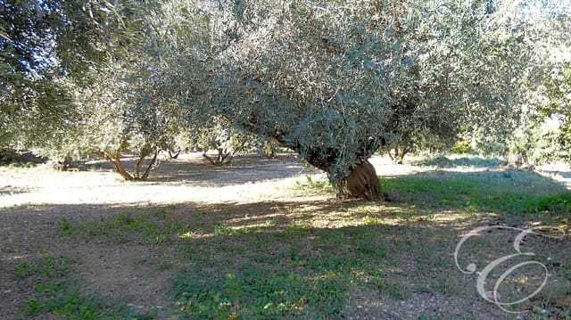 2 slaapkamer Finca/Landhuis te koop in Periana met garage - € 170.000 (Ref: 7936988)