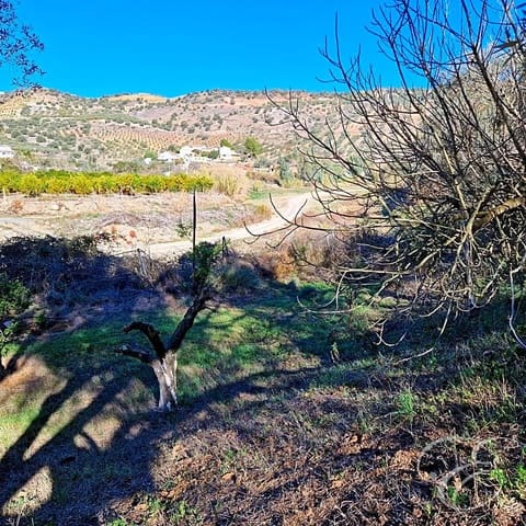 3 chambre Finca/Maison de Campagne à vendre à Comares avec piscine - 199 950 € (Ref: 8013464)