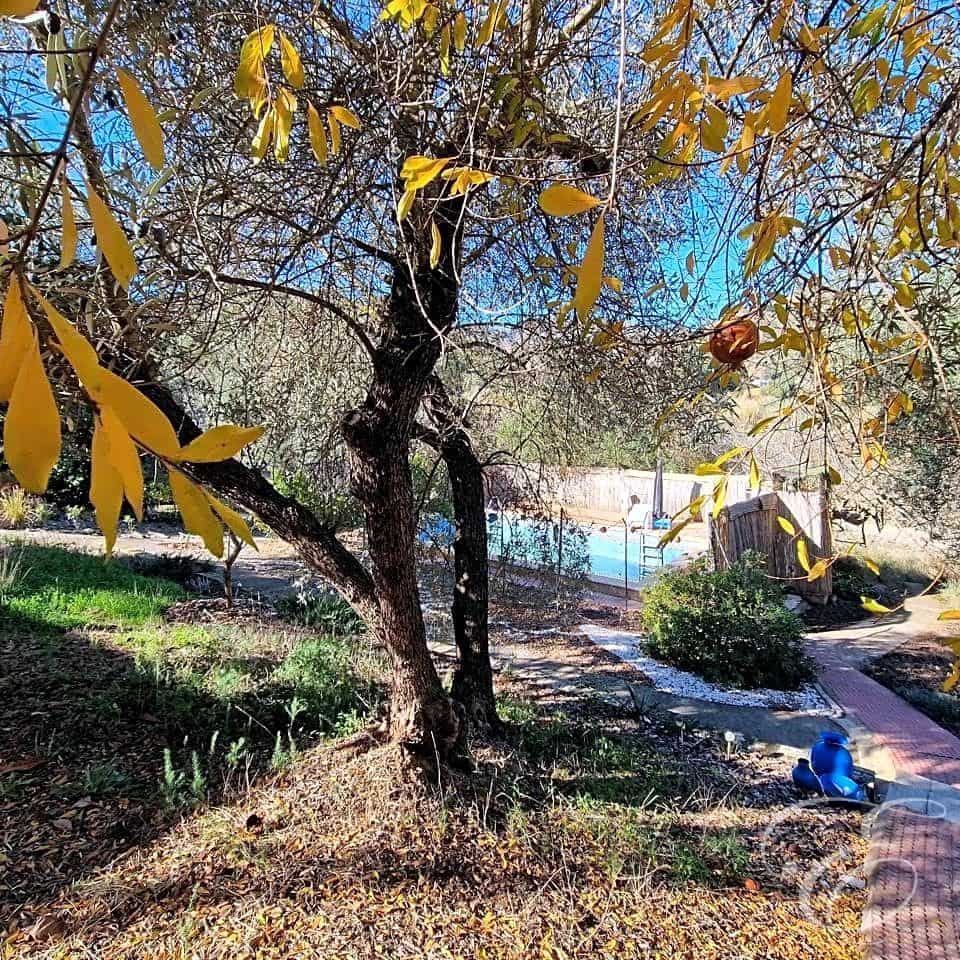 3 soveværelse Finca/Landehus til salg i Comares med swimmingpool - € 199.950 (Ref: 8013464)