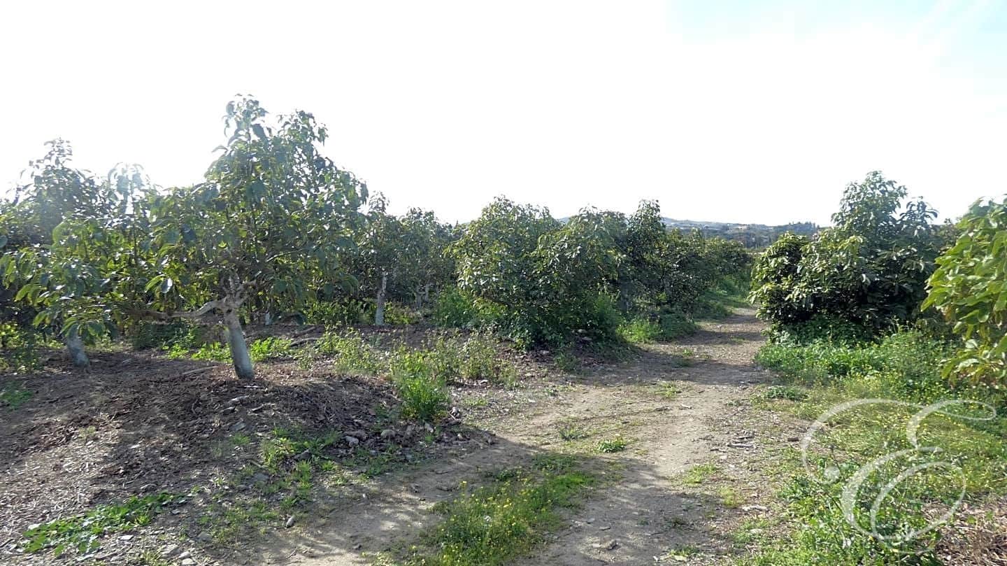 3 soveværelse Finca/Landehus til salg i Velez-Malaga - € 700.000 (Ref: 8112566)