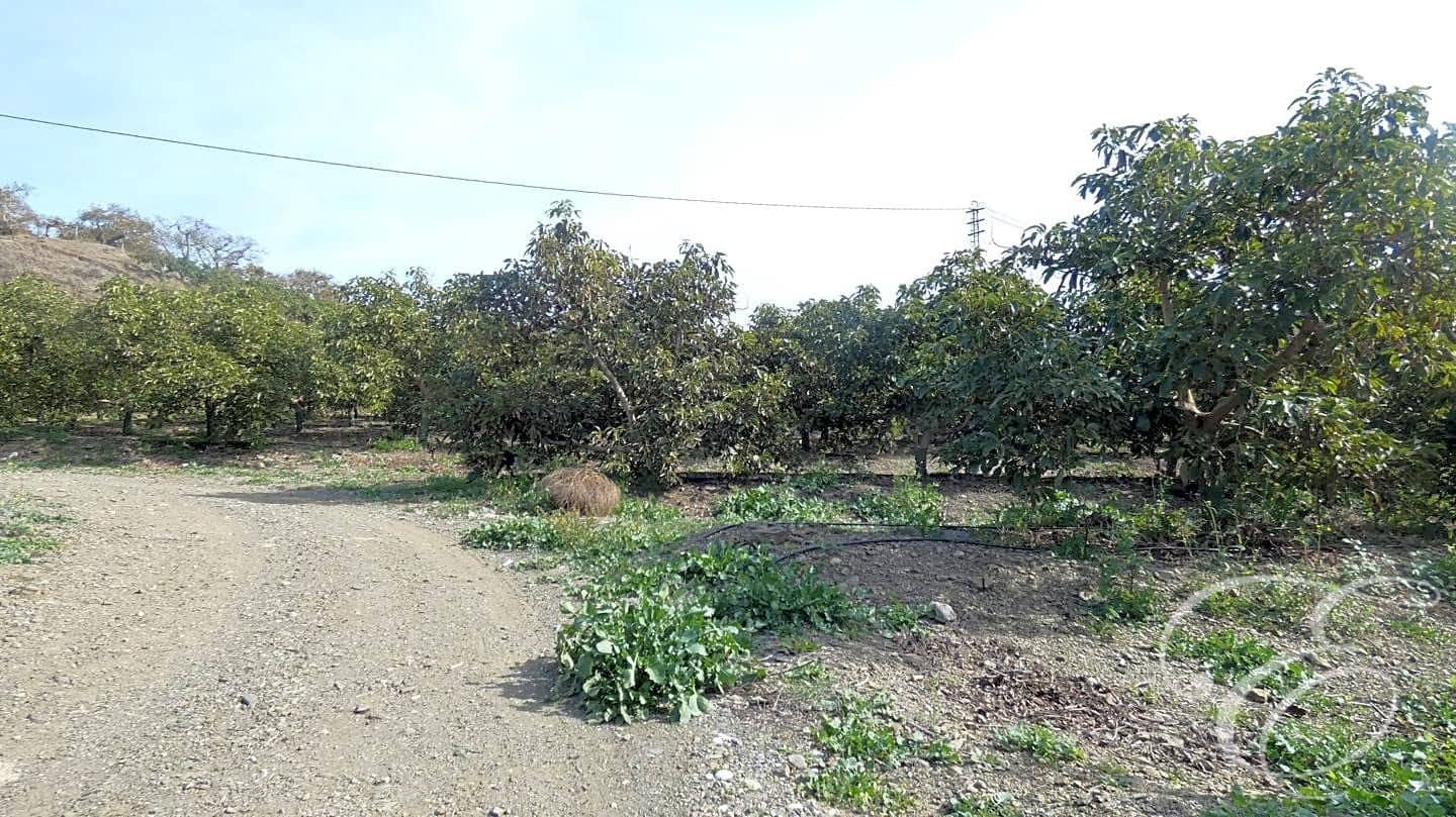 3 soveværelse Finca/Landehus til salg i Velez-Malaga - € 700.000 (Ref: 8112566)