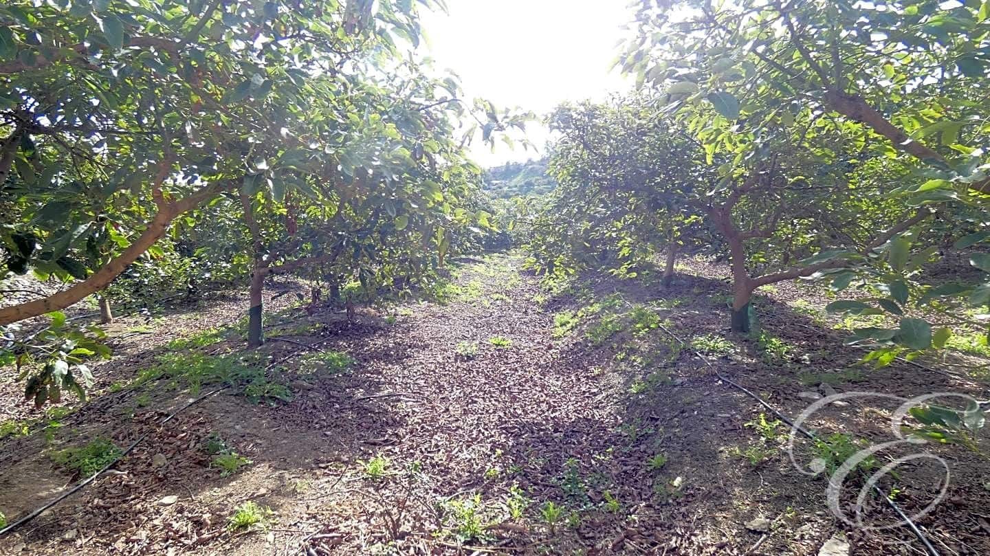 3 soveværelse Finca/Landehus til salg i Velez-Malaga - € 700.000 (Ref: 8112566)