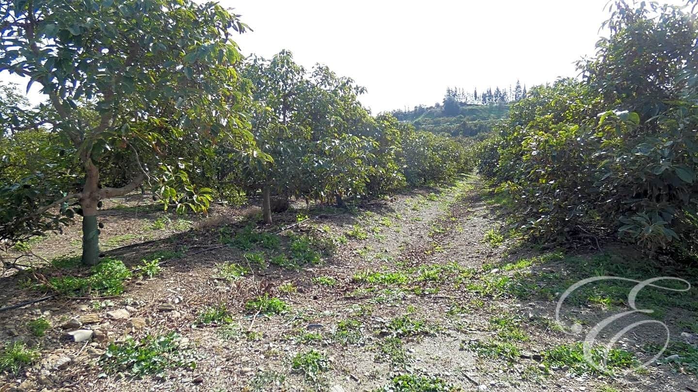 3 soveværelse Finca/Landehus til salg i Velez-Malaga - € 700.000 (Ref: 8112566)