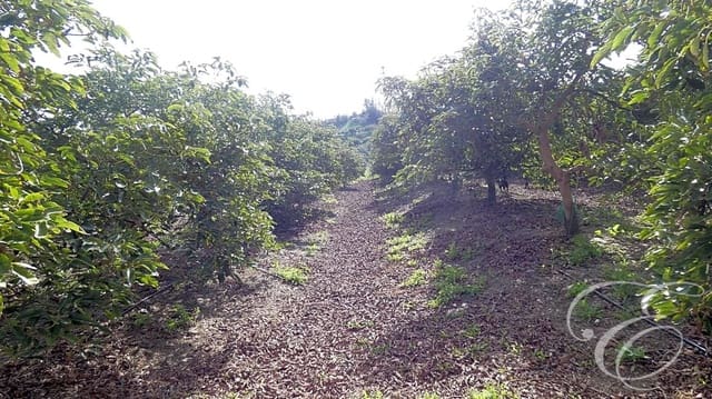 3 soveværelse Finca/Landehus til salg i Vélez-Málaga - € 700.000 (Ref: 8112566)