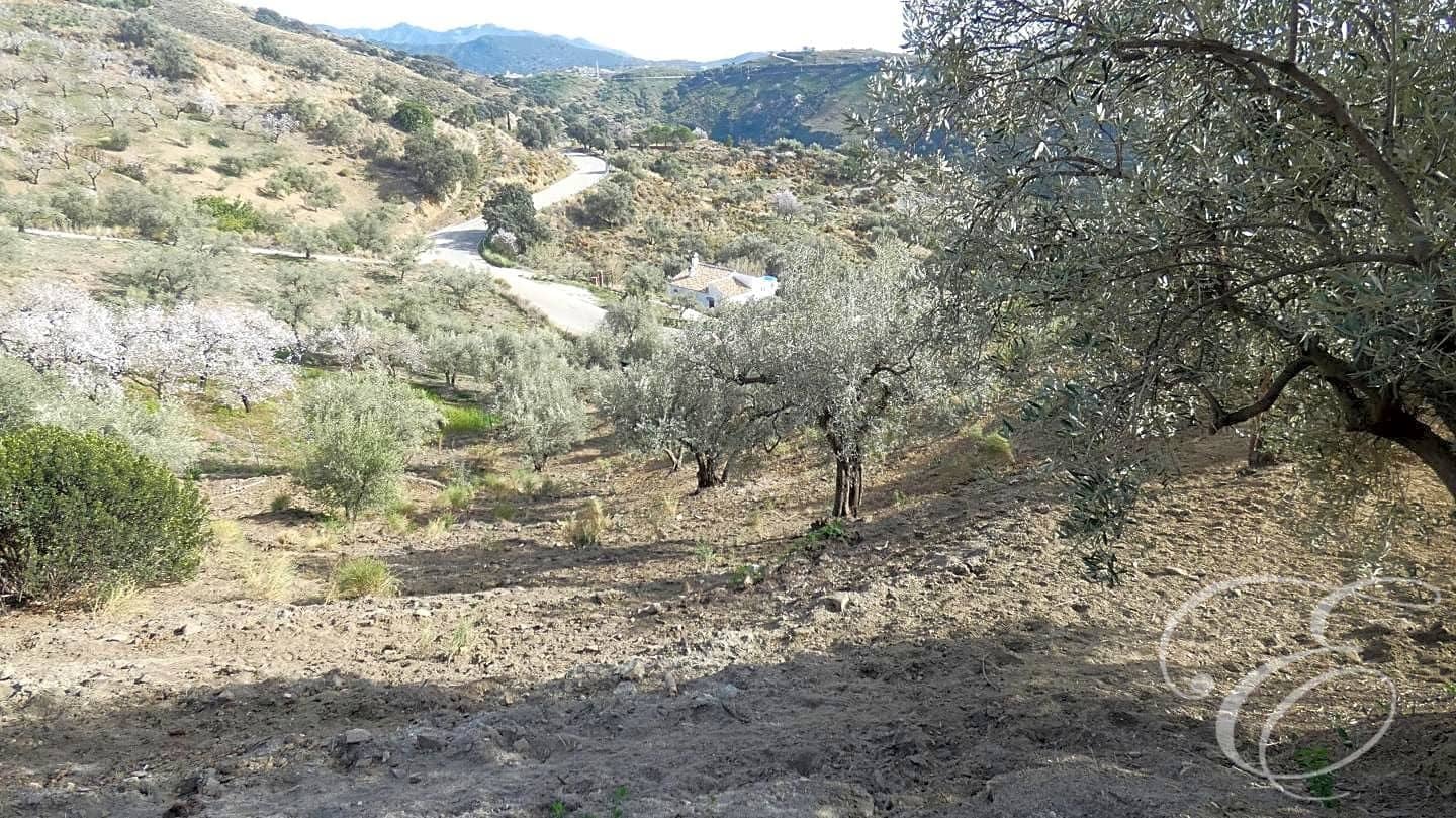 3 soverom Finca/Herregård til salgs i Sedella med svømmebasseng garasje - € 395 000 (Ref: 8119706)