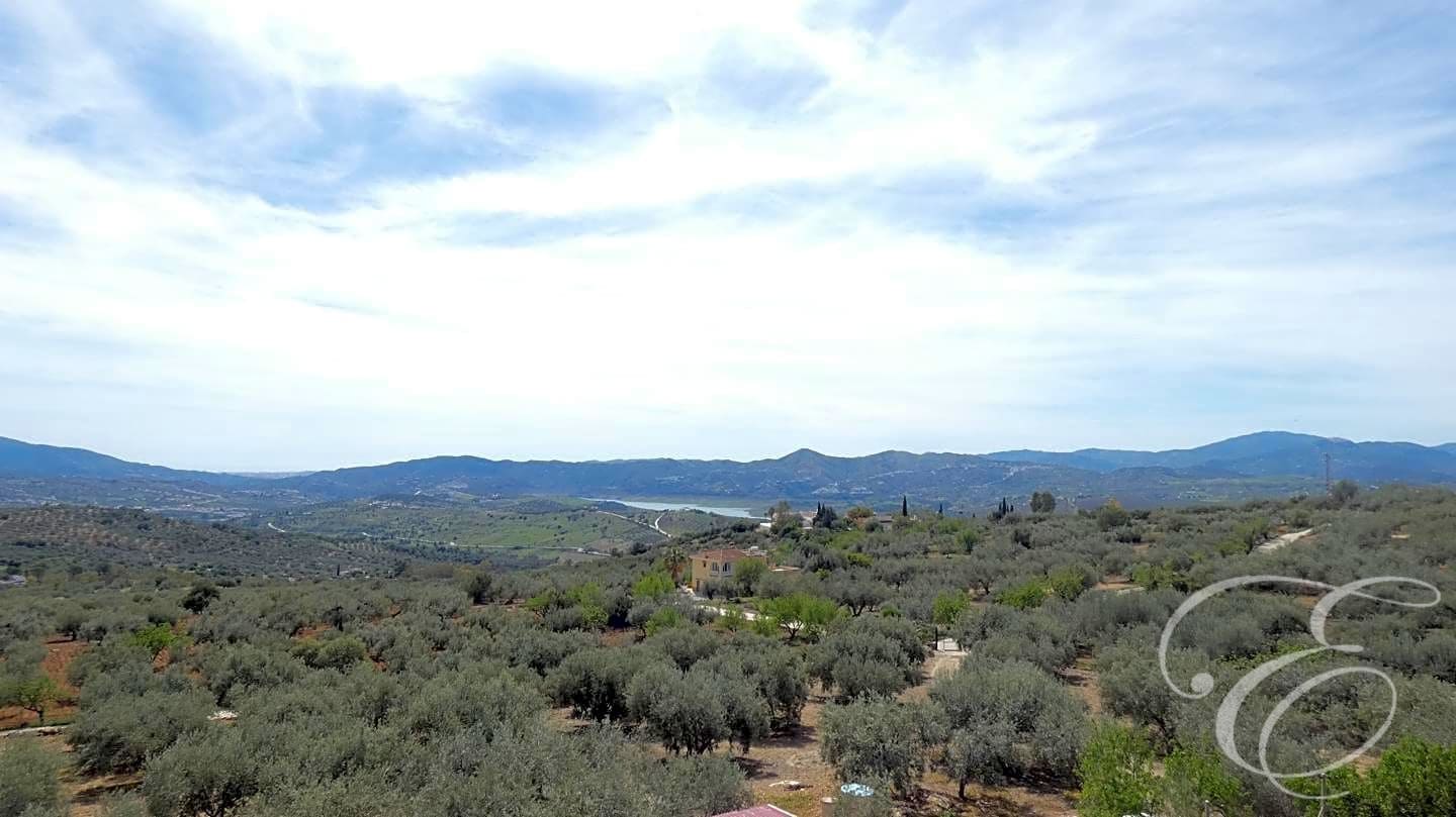 4 soverom Finca/Herregård til salgs i Periana med svømmebasseng garasje - € 480 000 (Ref: 8185196)