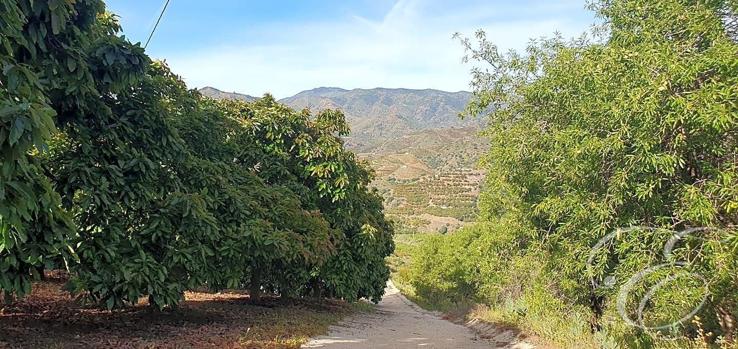 2 soveværelse Finca/Landehus til salg i Benamargosa med garage - € 180.000 (Ref: 8273545)