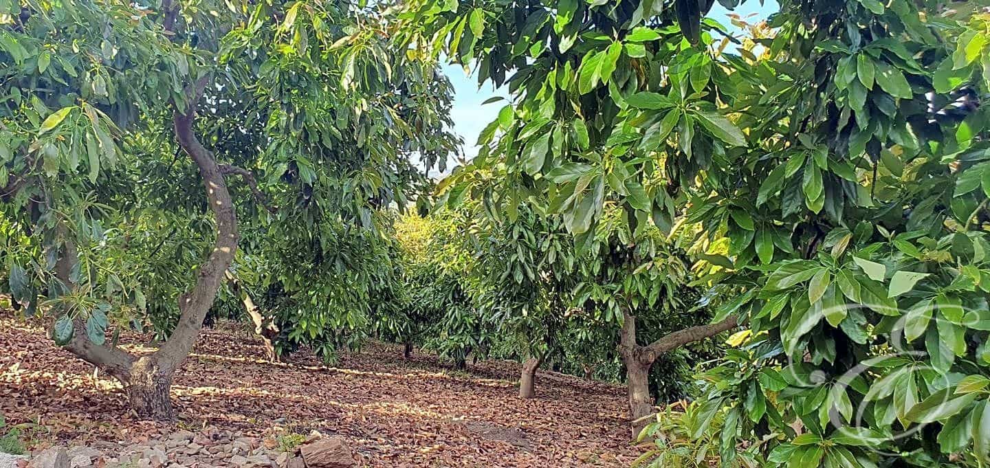 2 soveværelse Finca/Landehus til salg i Benamargosa med garage - € 180.000 (Ref: 8273545)