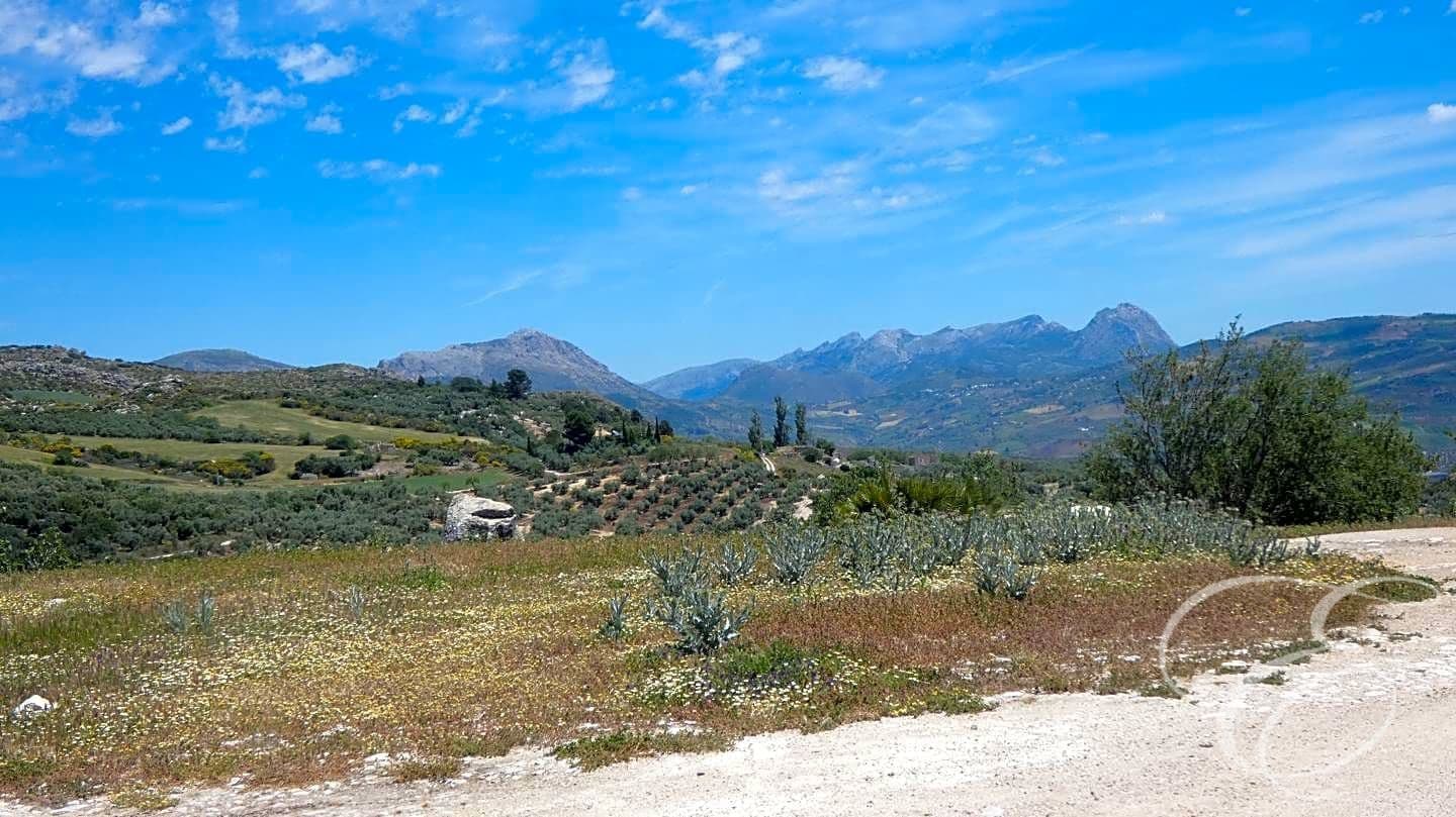 4 quarto Quinta/Casa Rural para venda em Villanueva de la Concepcion - 595 000 € (Ref: 8307710)