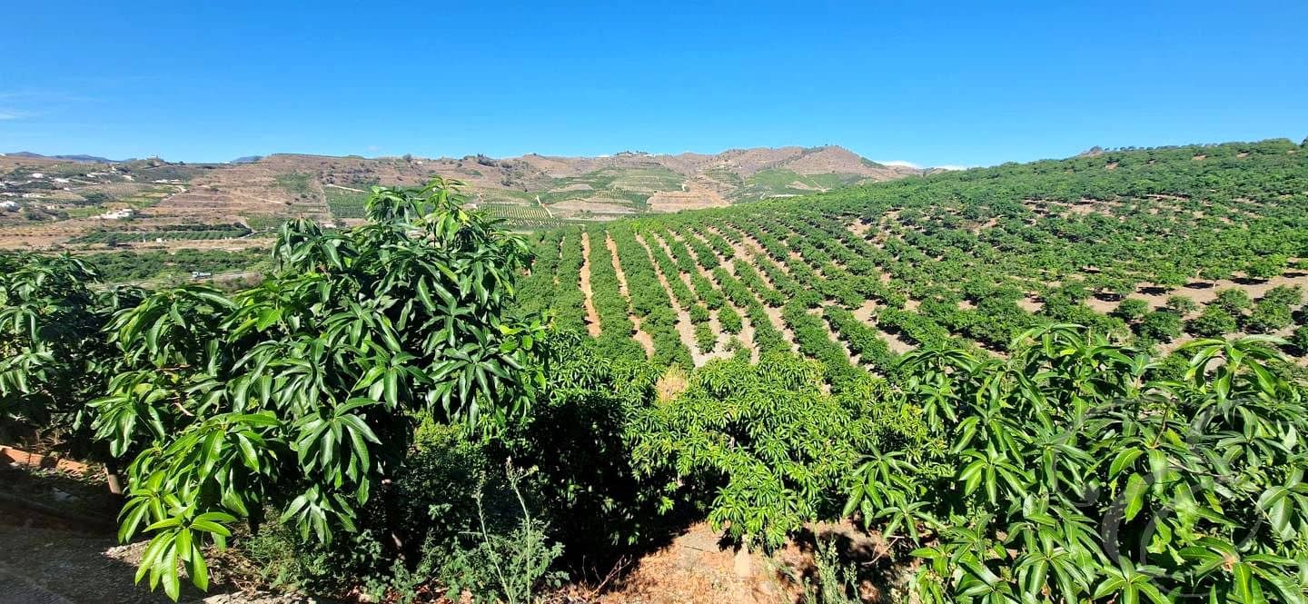 5 soveværelse Finca/Landehus til salg i Velez-Malaga med swimmingpool - € 695.000 (Ref: 8560439)