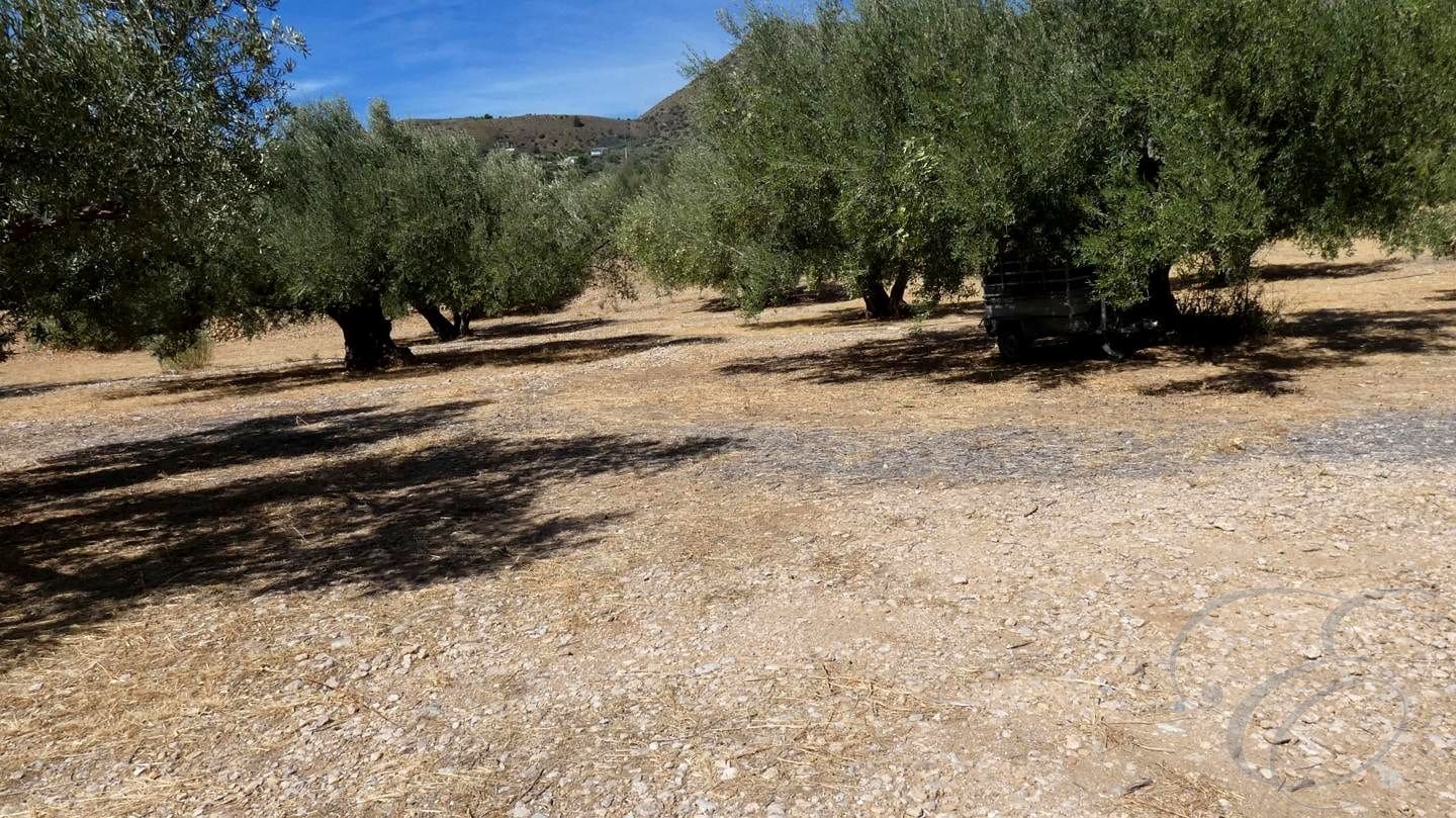 5 soveværelse Finca/Landehus til salg i Alcaucin - € 228.000 (Ref: 8562530)