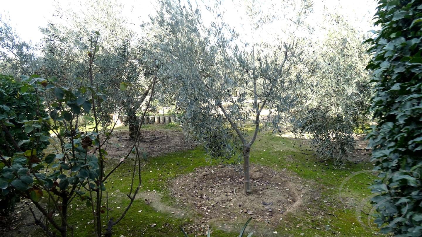 3 soverom Villa til salgs i Moraleda de Zafayona med svømmebasseng garasje - € 585 000 (Ref: 8724789)