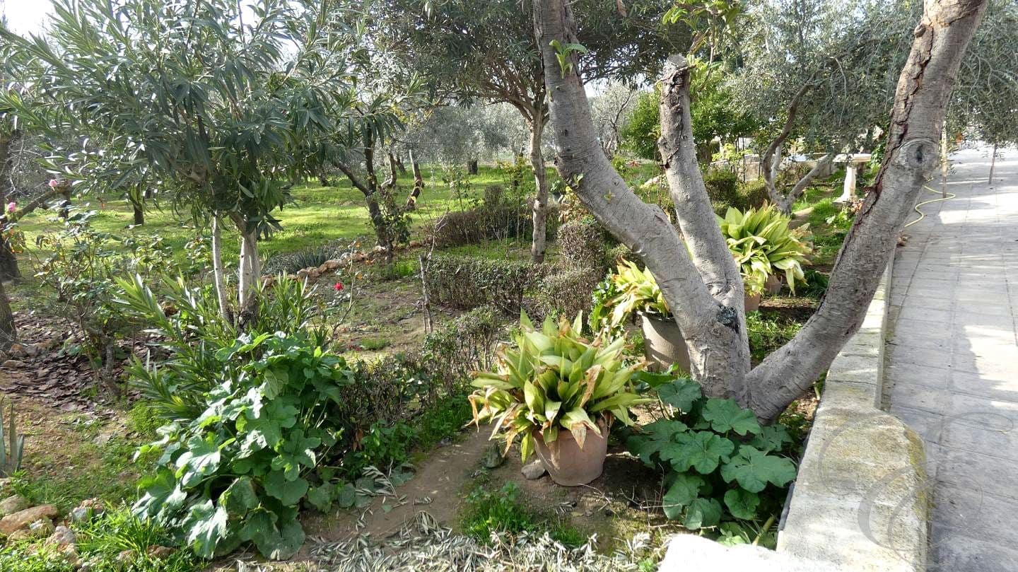 3 sypialnia Willa na sprzedaż w Moraleda de Zafayona z basenem garażem - 212 000 € (Ref: 8893838)