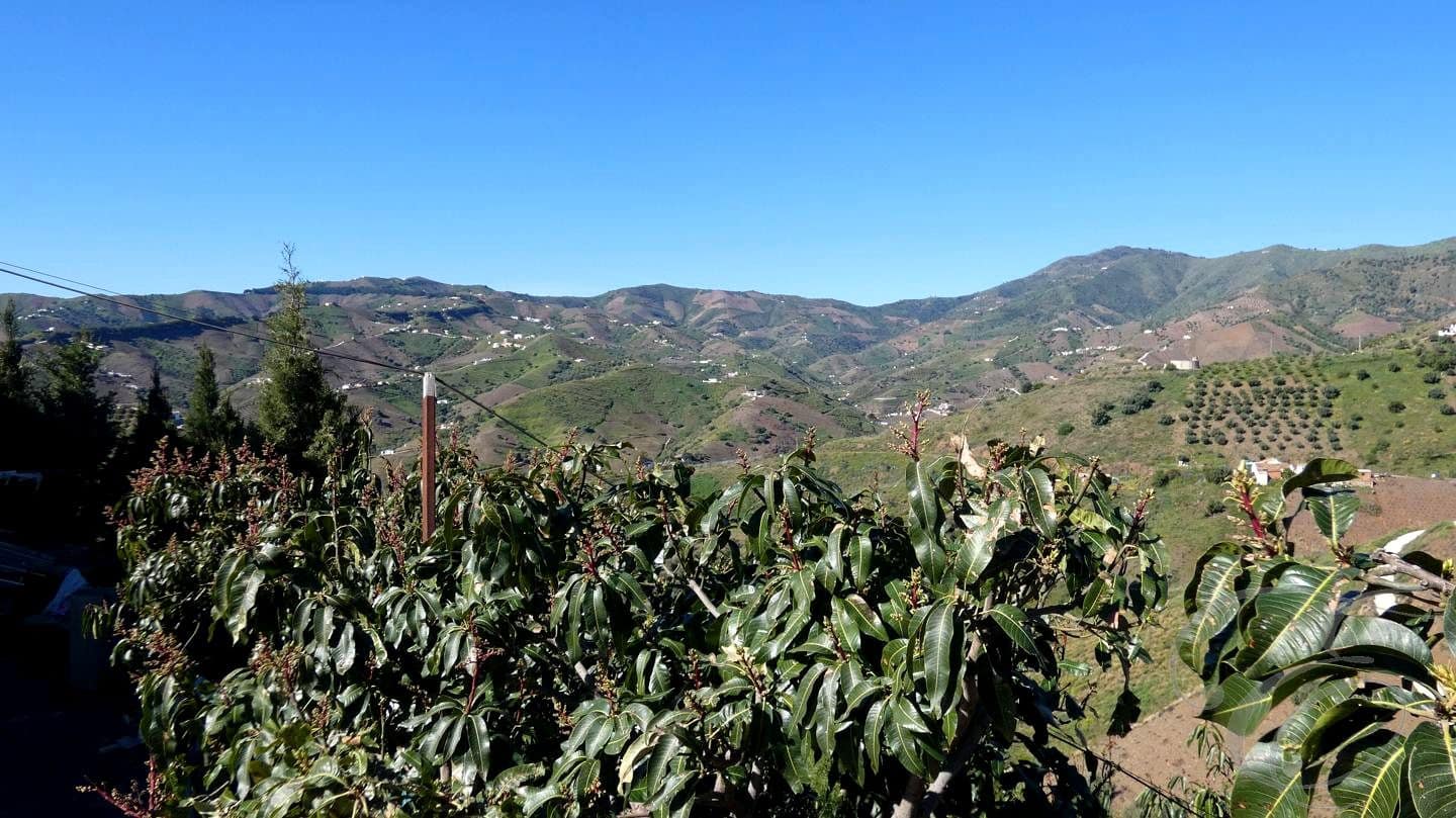 5 chambre Finca/Maison de Campagne à vendre à El Borge avec piscine garage - 340 000 € (Ref: 8906552)