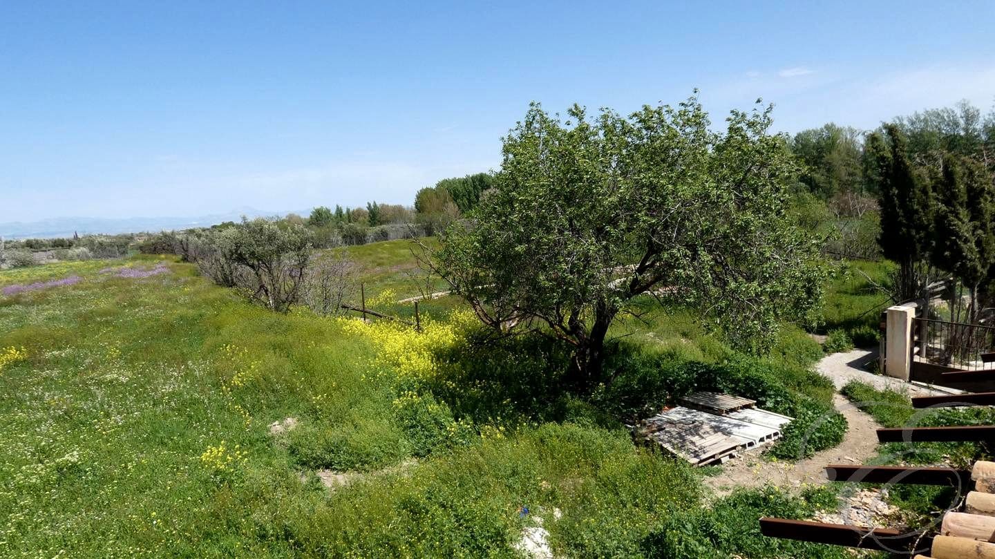 6 soveværelse Finca/Landehus til salg i Baza med swimmingpool - € 395.000 (Ref: 8931550)