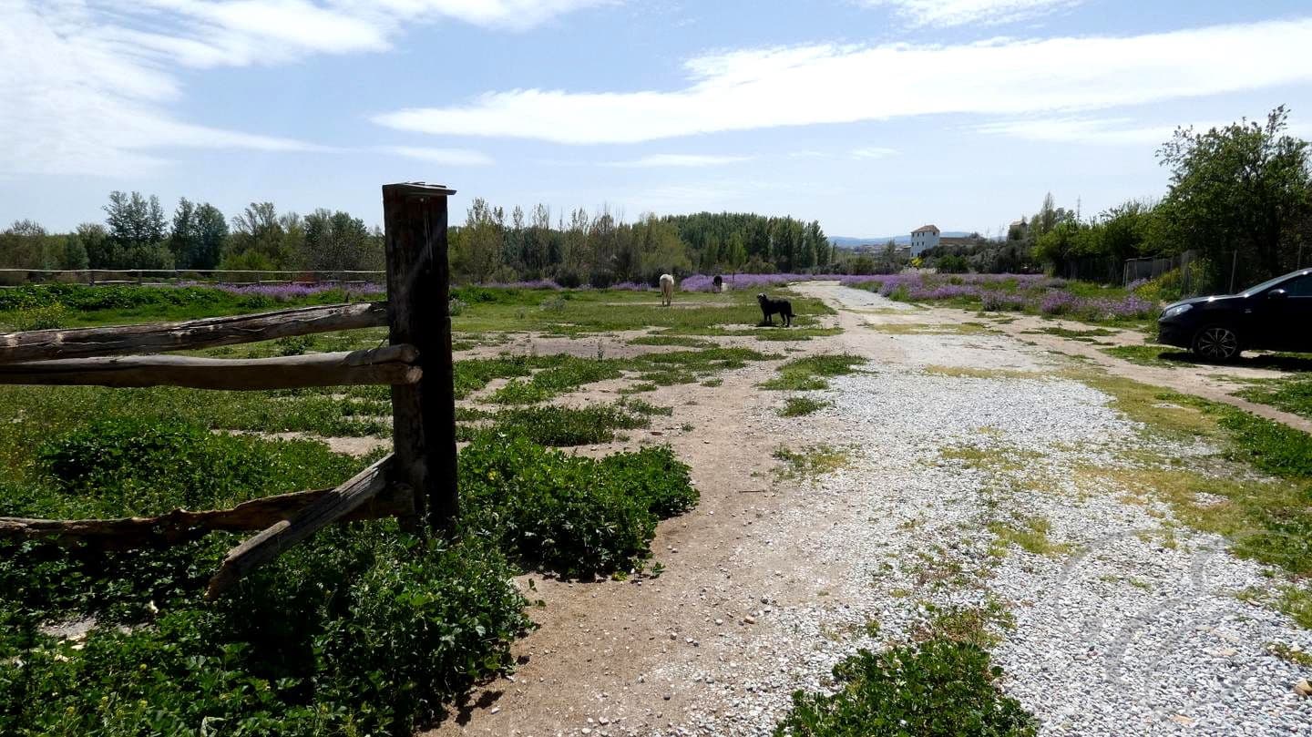 6 soveværelse Finca/Landehus til salg i Baza med swimmingpool - € 395.000 (Ref: 8931550)