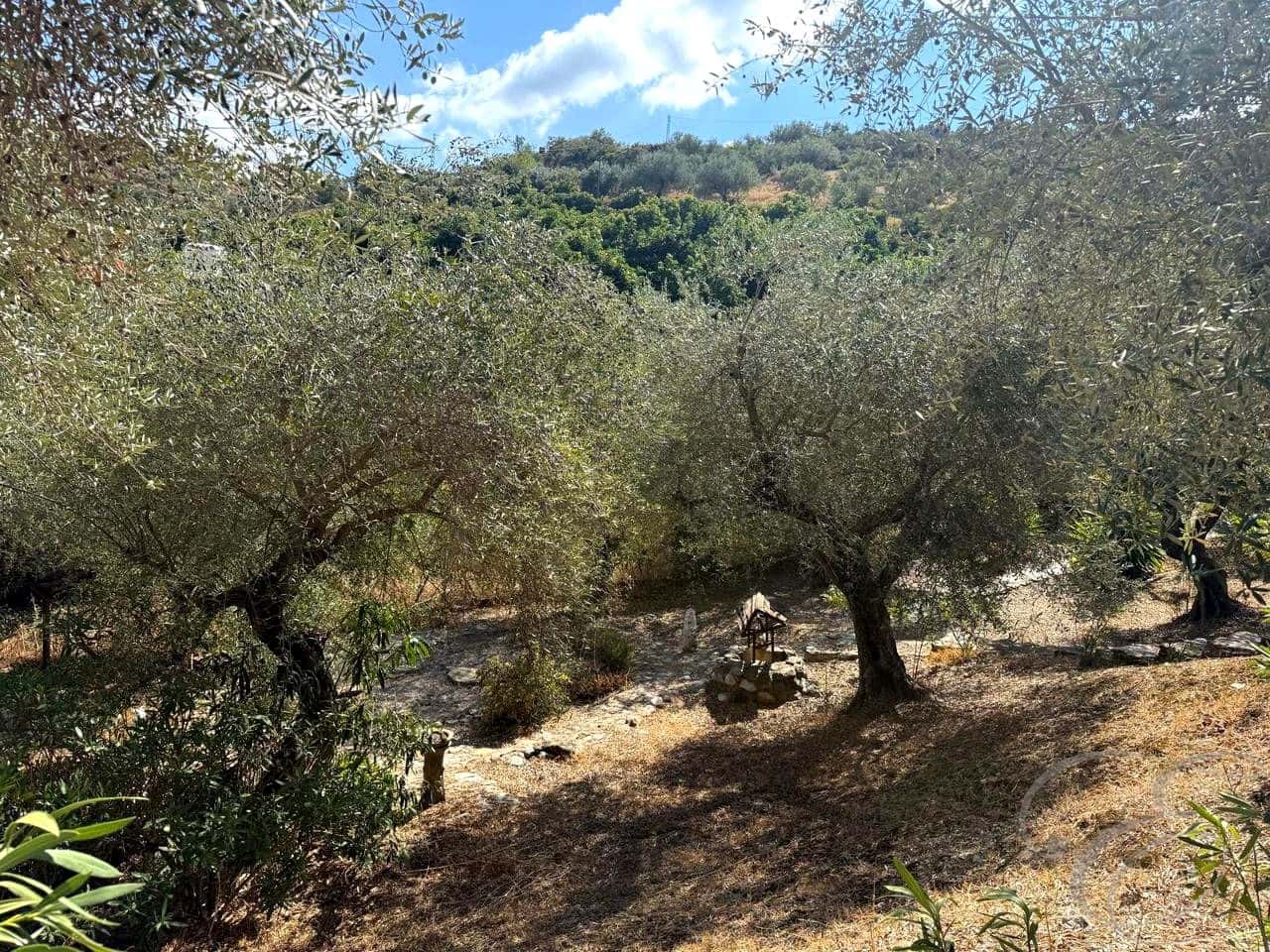 4 soveværelse Villa til salg i Comares med swimmingpool garage - € 349.000 (Ref: 8960670)