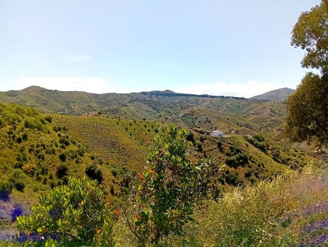 2 sypialnia Finka/Dom wiejski na sprzedaż w Iznate - 159 950 € (Ref: 8989975)