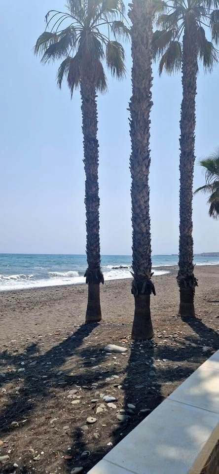 2 soveværelse Lejlighed til salg i Mezquitilla med swimmingpool garage - € 240.000 (Ref: 9034036)