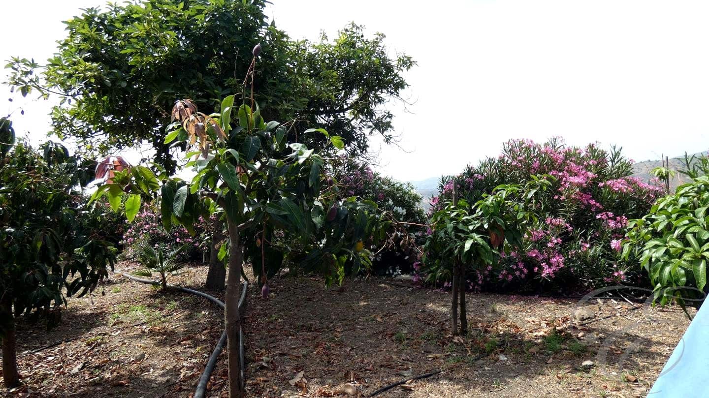 3 camera da letto Finca/Casa di Campagna in vendita in Benamargosa - 350.000 € (Rif: 9064456)