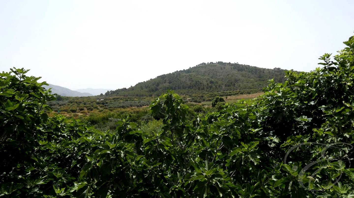 4 chambre Finca/Maison de Campagne à vendre à Molvizar avec piscine garage - 375 000 € (Ref: 9074225)