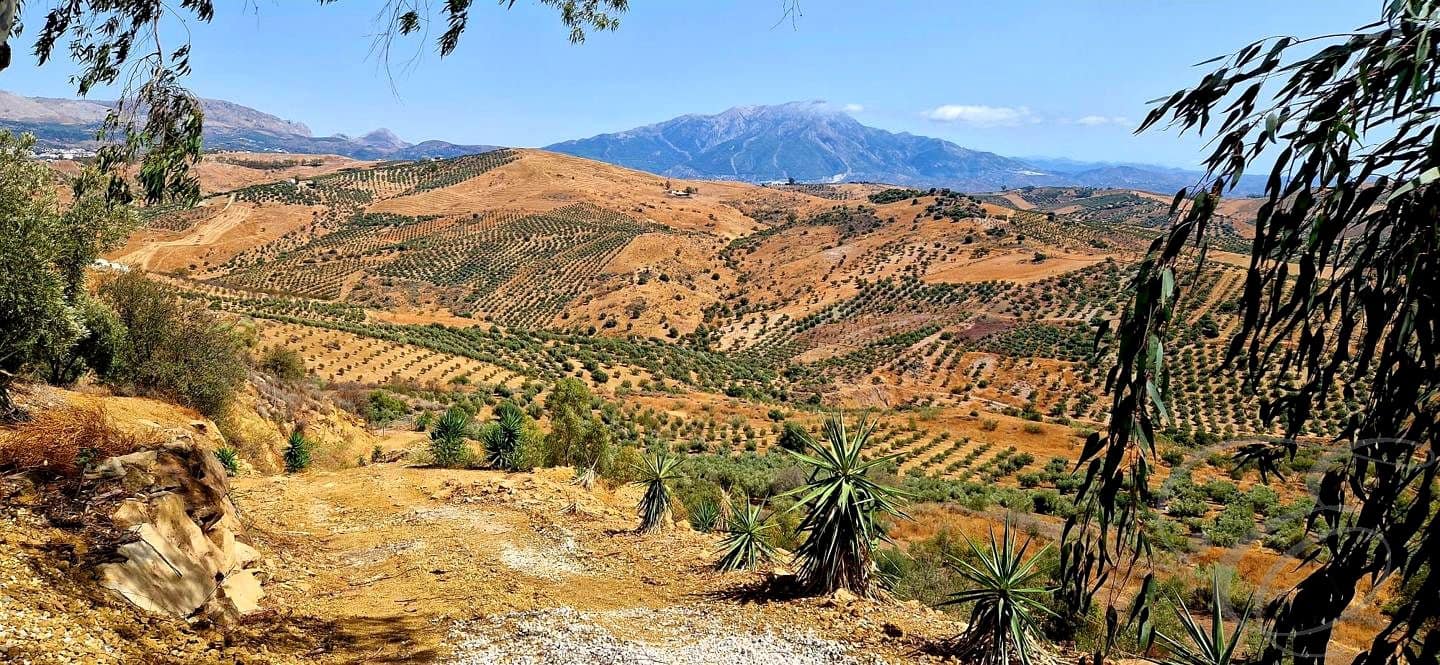 7 sypialnia Finka/Dom wiejski na sprzedaż w Riogordo z basenem garażem - 1 000 000 € (Ref: 9074226)