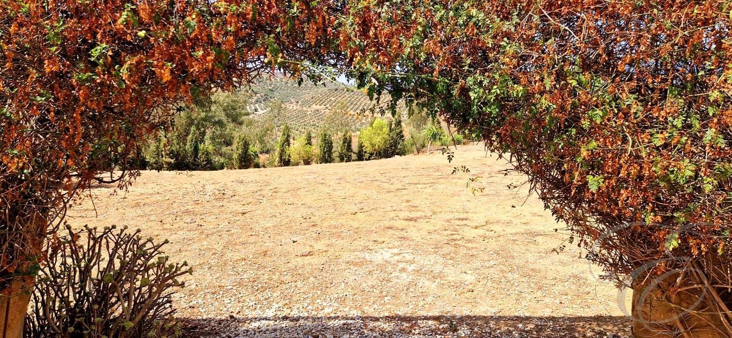 7 sypialnia Finka/Dom wiejski na sprzedaż w Riogordo z basenem garażem - 1 000 000 € (Ref: 9074226)